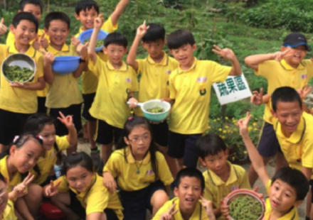 黎明國小食農教育:⼀個學期⼀起種⼤豆